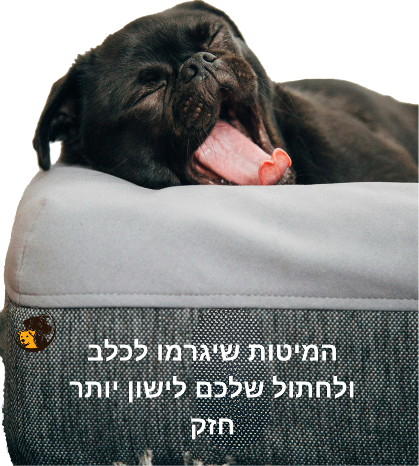 מיטות